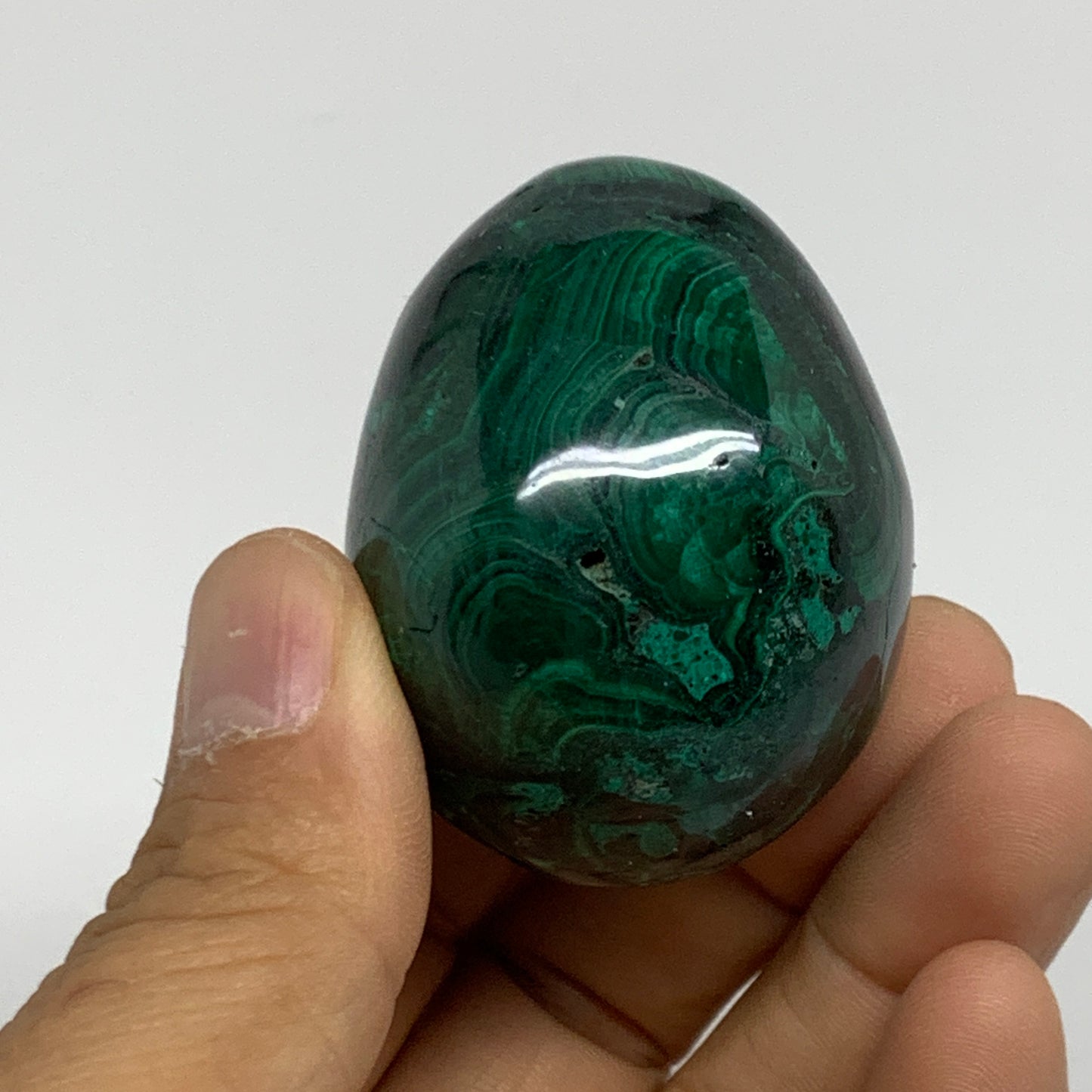 140g, 2"x1.5", Natural Solid Malachite Egg Polished Gemstone @Congo, B32771
