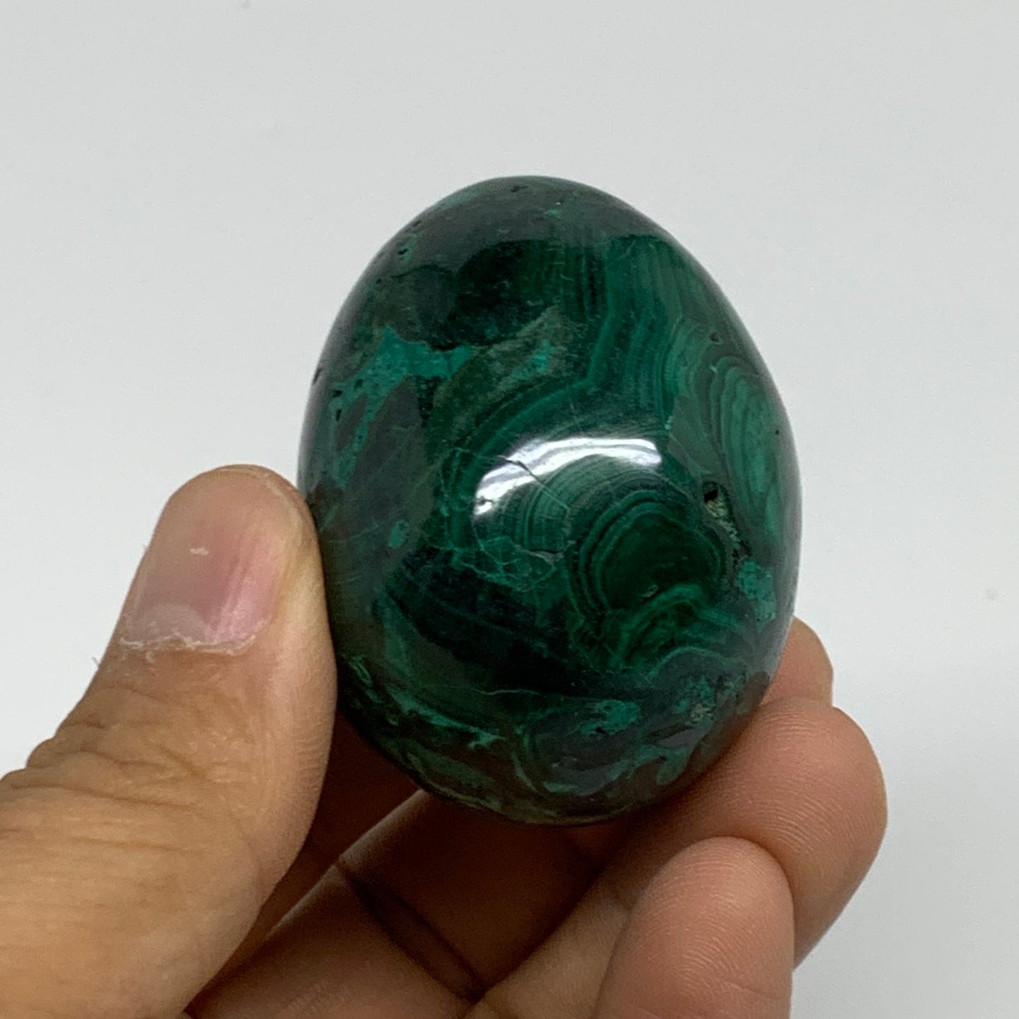 140g, 2"x1.5", Natural Solid Malachite Egg Polished Gemstone @Congo, B32771