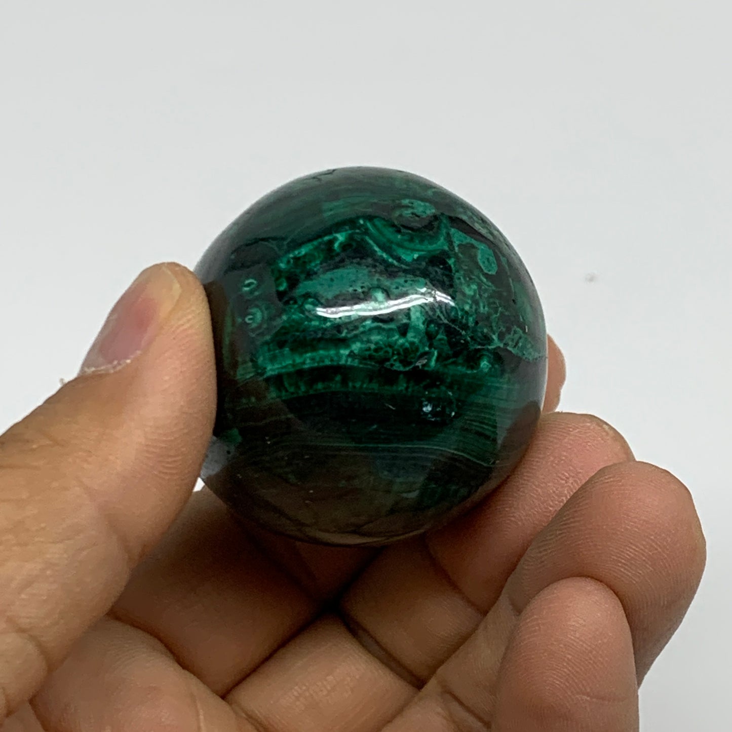 140g, 2"x1.5", Natural Solid Malachite Egg Polished Gemstone @Congo, B32771