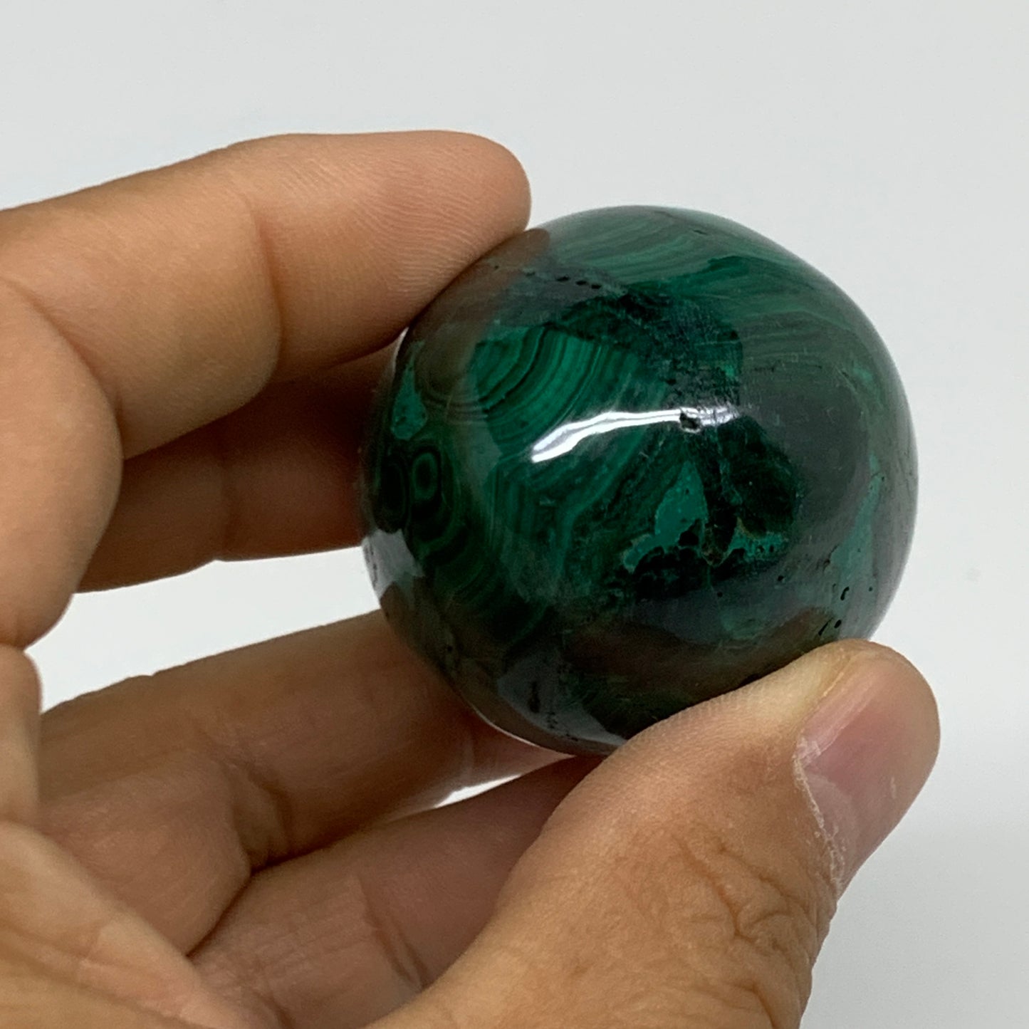 140g, 2"x1.5", Natural Solid Malachite Egg Polished Gemstone @Congo, B32771
