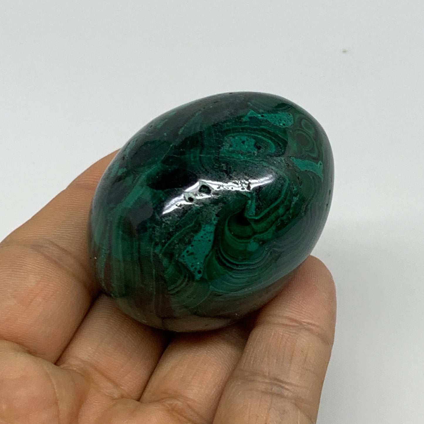 140g, 2"x1.5", Natural Solid Malachite Egg Polished Gemstone @Congo, B32771