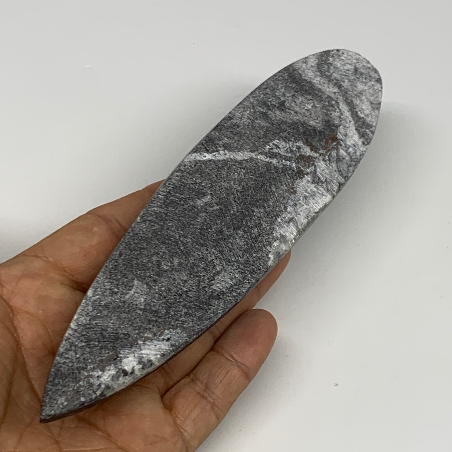 195.7g, 6.6"x1.7"x0.9" Fossils Orthoceras (straight horn) Squid @Morocco,B29923