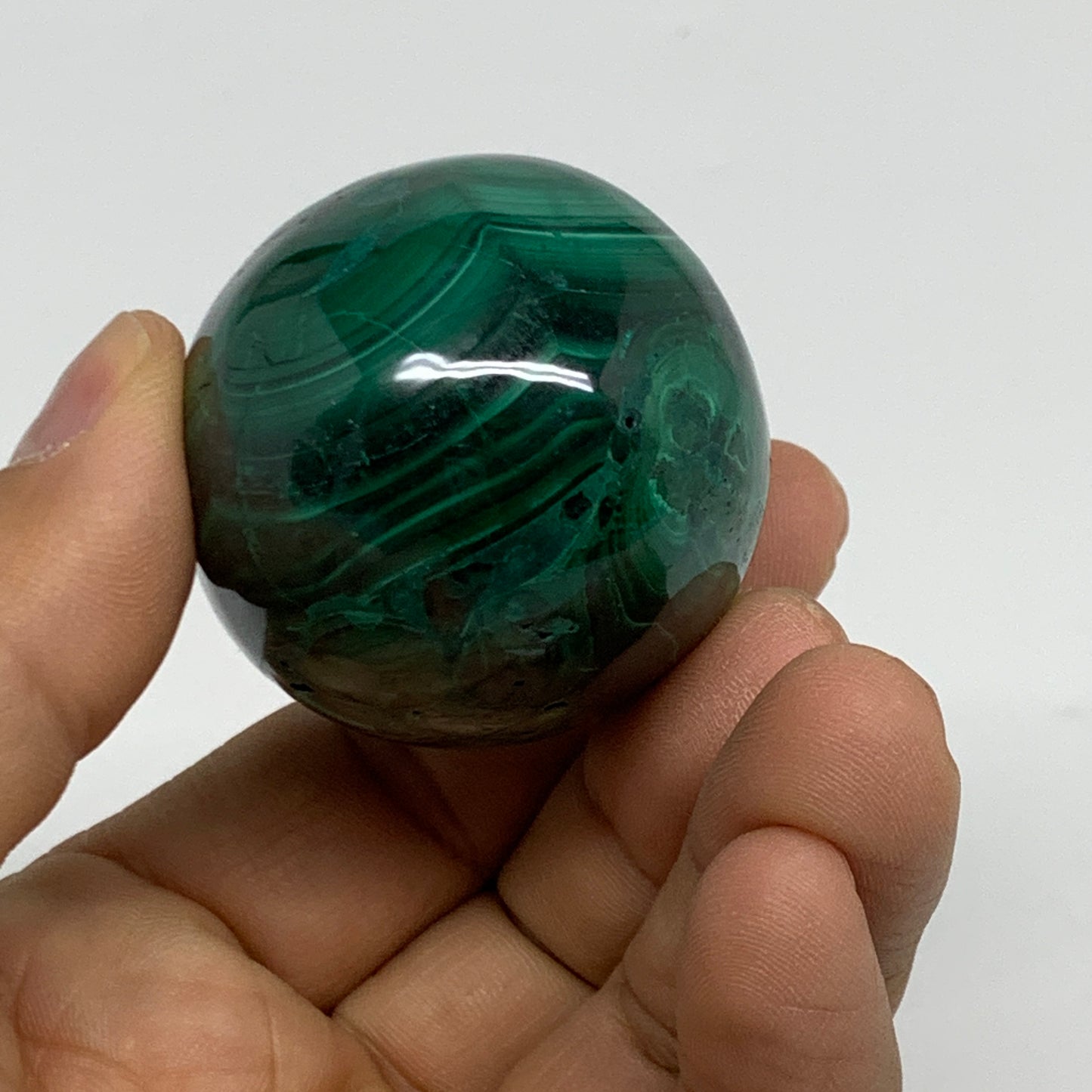 170g, 2.1"x1.5", Natural Solid Malachite Egg Polished Gemstone @Congo, B32772