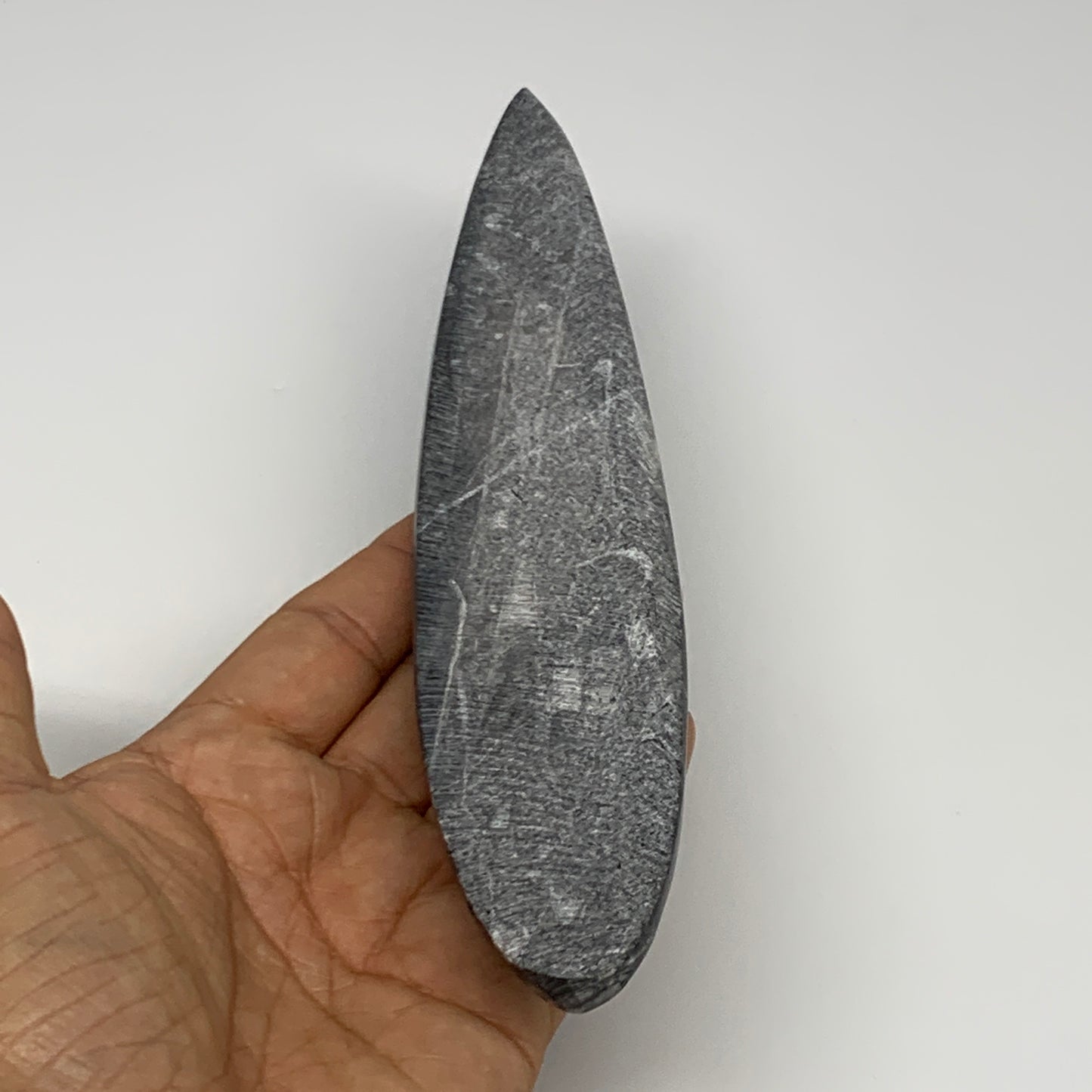 182.5g, 7.7"x1.6"x0.7" Fossils Orthoceras (straight horn) Squid @Morocco,B29925