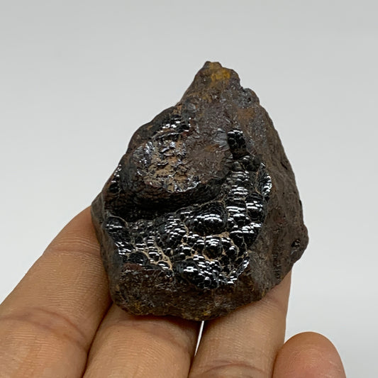 111.8g, 1.9"x1.6"x1.2", Rough Hematite Botryoidal Mineral Crystal, B37063