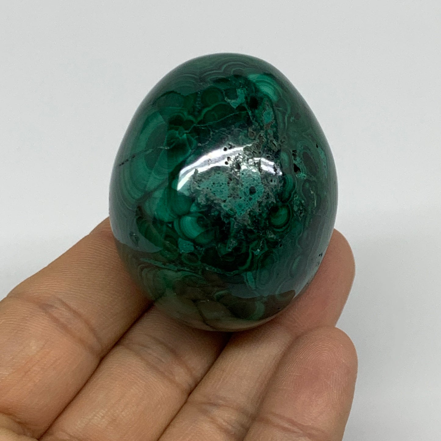 144.9g, 1.9"x1.6", Natural Solid Malachite Egg Polished Gemstone @Congo, B32778