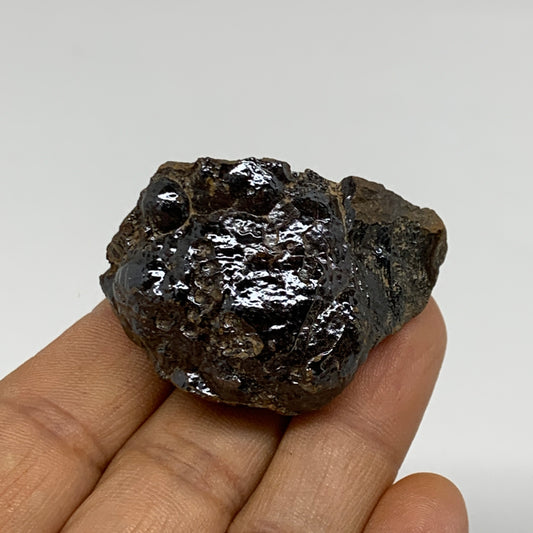 57.4g, 1.8"x1.3"x1.2", Rough Hematite Botryoidal Mineral Crystal, B37067