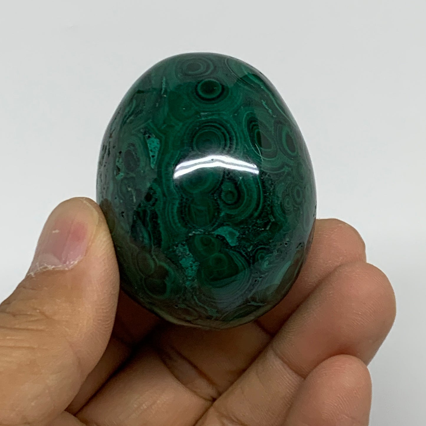 144.9g, 1.9"x1.6", Natural Solid Malachite Egg Polished Gemstone @Congo, B32778