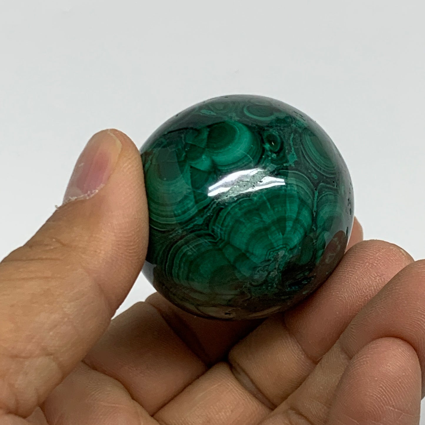 144.9g, 1.9"x1.6", Natural Solid Malachite Egg Polished Gemstone @Congo, B32778