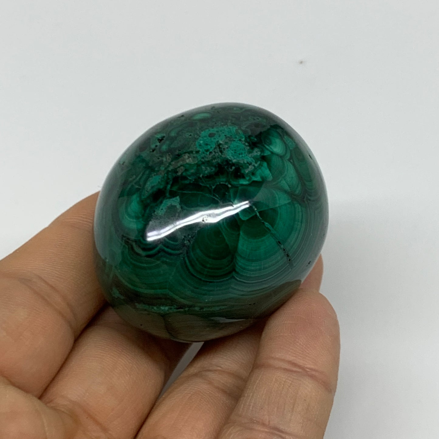 144.9g, 1.9"x1.6", Natural Solid Malachite Egg Polished Gemstone @Congo, B32778