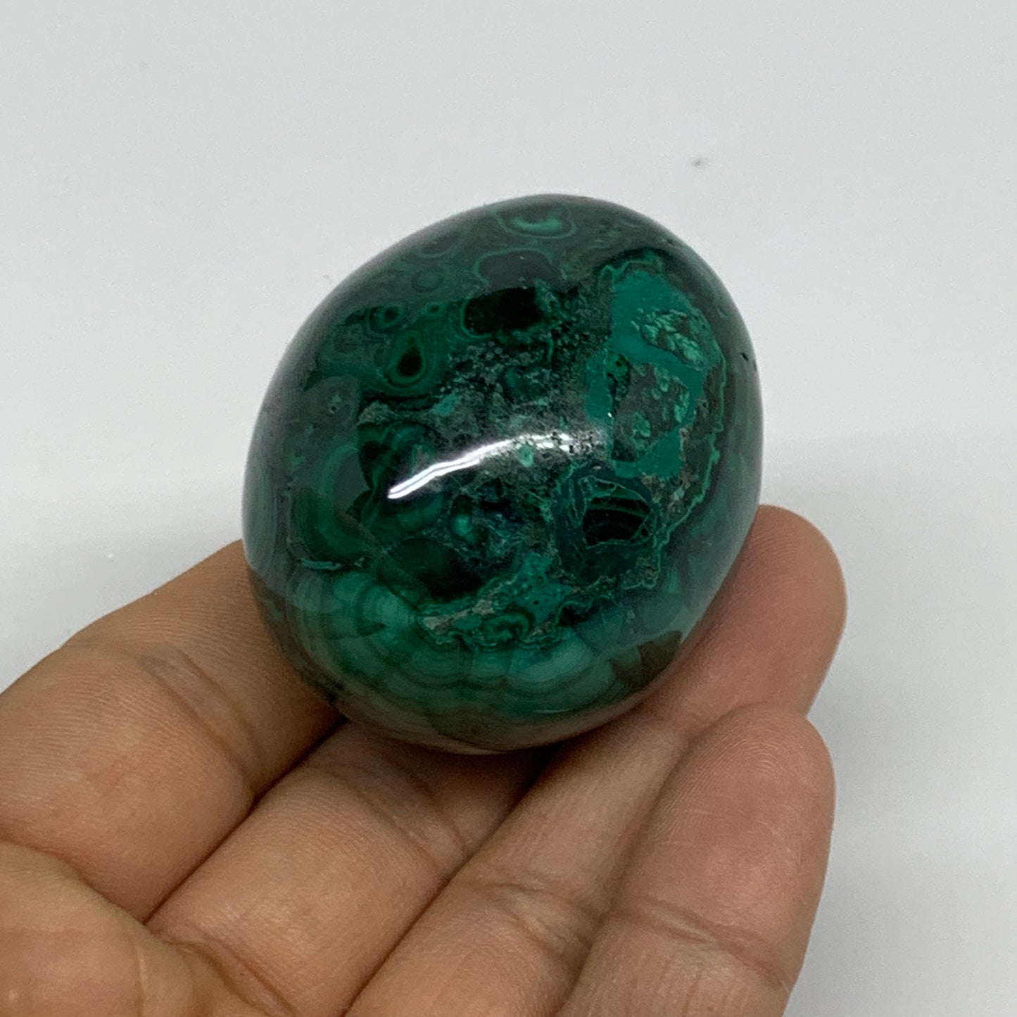 144.9g, 1.9"x1.6", Natural Solid Malachite Egg Polished Gemstone @Congo, B32778