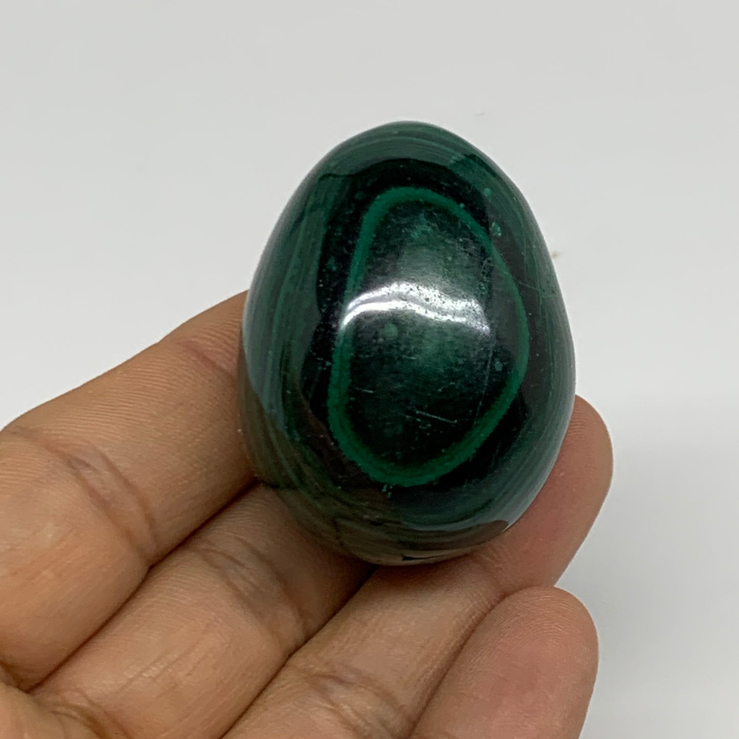 96.3g, 1.7"x1.3", Natural Solid Malachite Egg Polished Gemstone @Congo, B32779