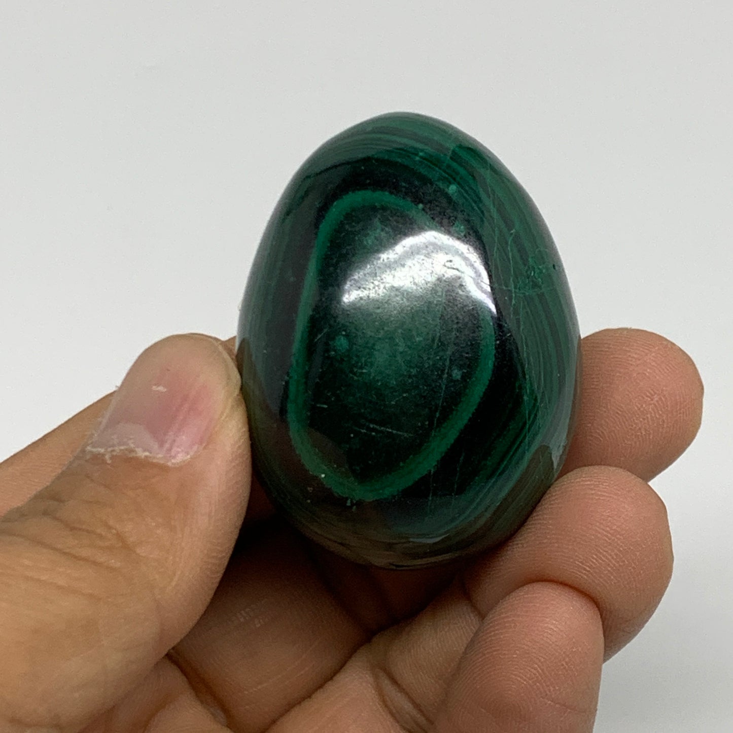 96.3g, 1.7"x1.3", Natural Solid Malachite Egg Polished Gemstone @Congo, B32779
