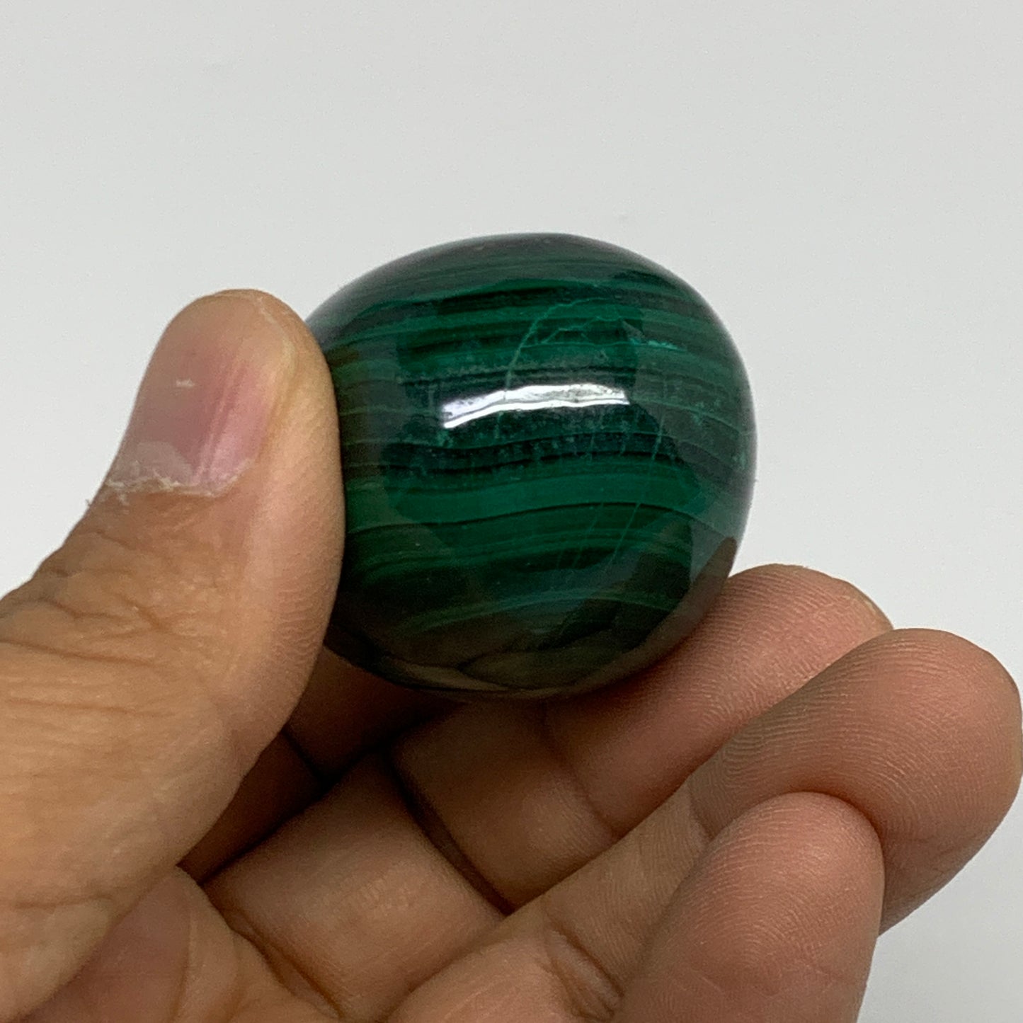 96.3g, 1.7"x1.3", Natural Solid Malachite Egg Polished Gemstone @Congo, B32779
