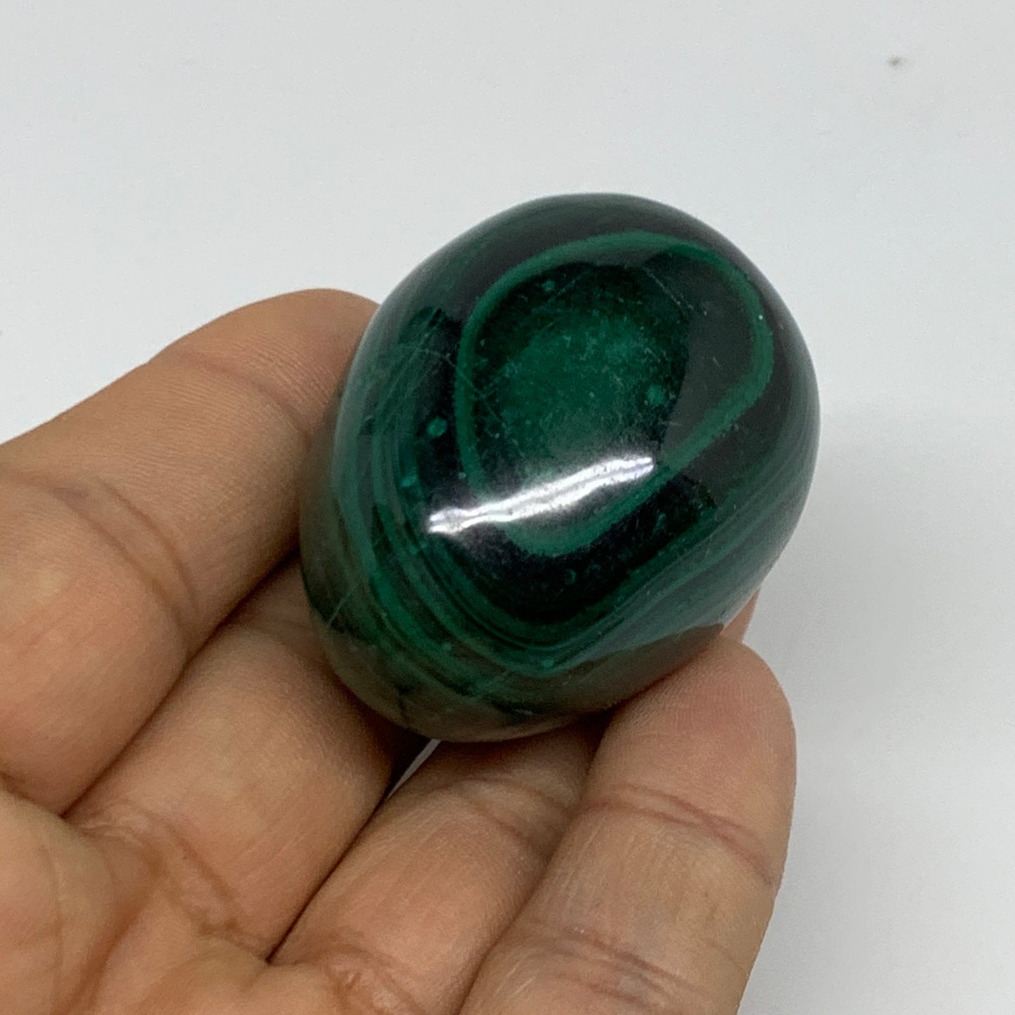 96.3g, 1.7"x1.3", Natural Solid Malachite Egg Polished Gemstone @Congo, B32779