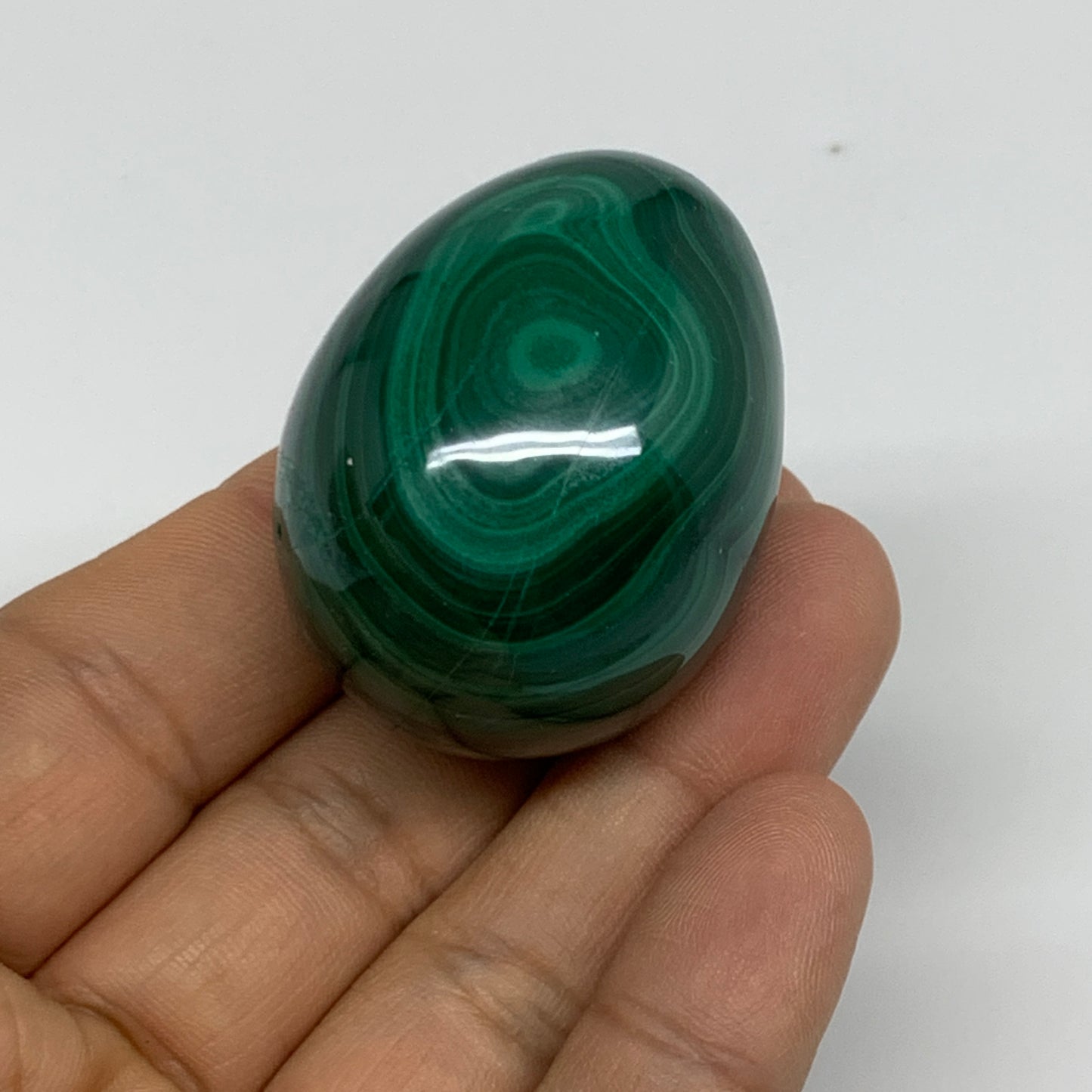 96.3g, 1.7"x1.3", Natural Solid Malachite Egg Polished Gemstone @Congo, B32779