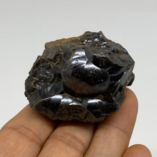 127.3g, 1.8"x1.8"x1.3", Rough Hematite Botryoidal Mineral Crystal, B37071