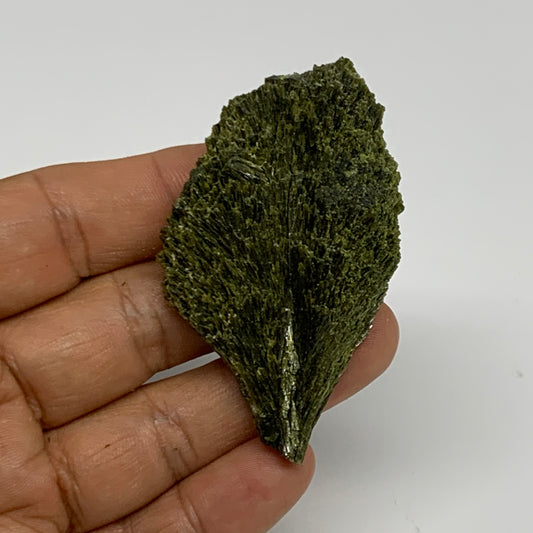 45.5g,2.5"x1.5"x0.7",Green Epidote Custer/Leaf Mineral Specimen @Pakistan,B27615