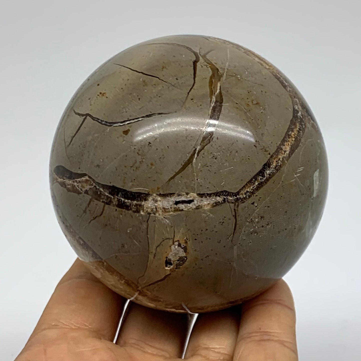 1.28 lbs, 3" (74mm), Natural Septarian Sphere Crystal Gemstone Ball, B37918
