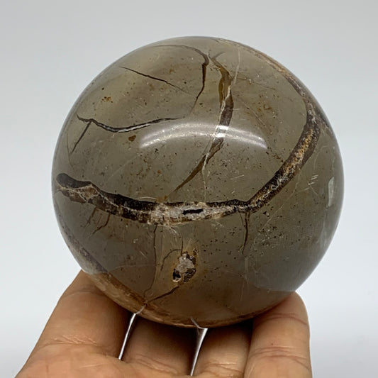 1.28 lbs, 3" (74mm), Natural Septarian Sphere Crystal Gemstone Ball, B37918