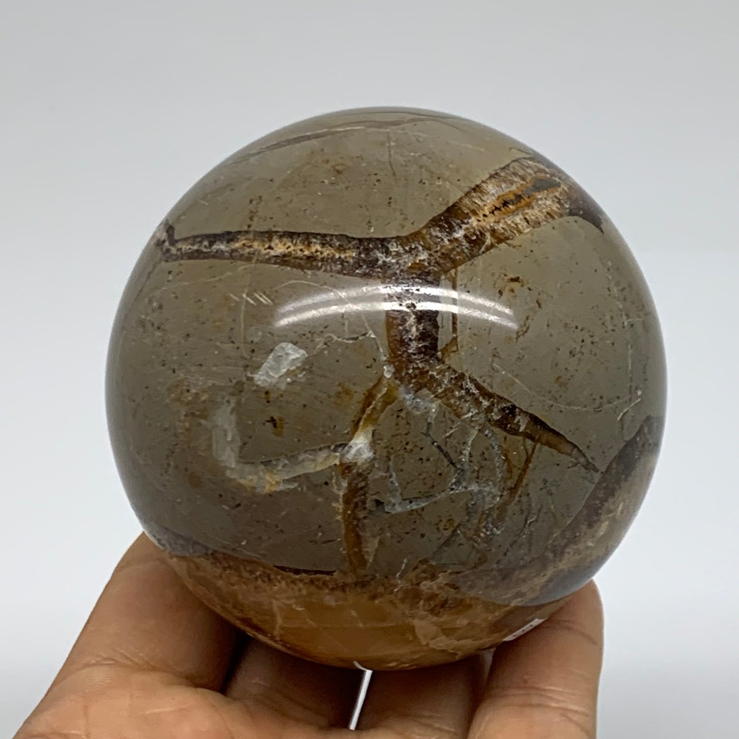 1.28 lbs, 3" (74mm), Natural Septarian Sphere Crystal Gemstone Ball, B37918