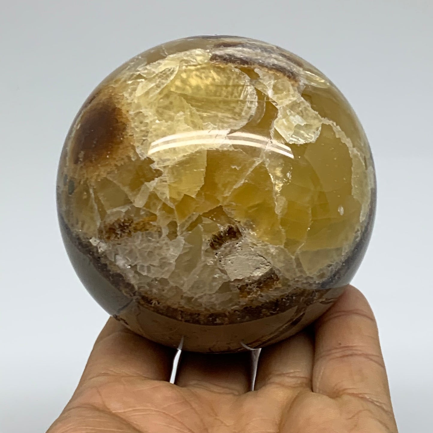 1.28 lbs, 3" (74mm), Natural Septarian Sphere Crystal Gemstone Ball, B37918