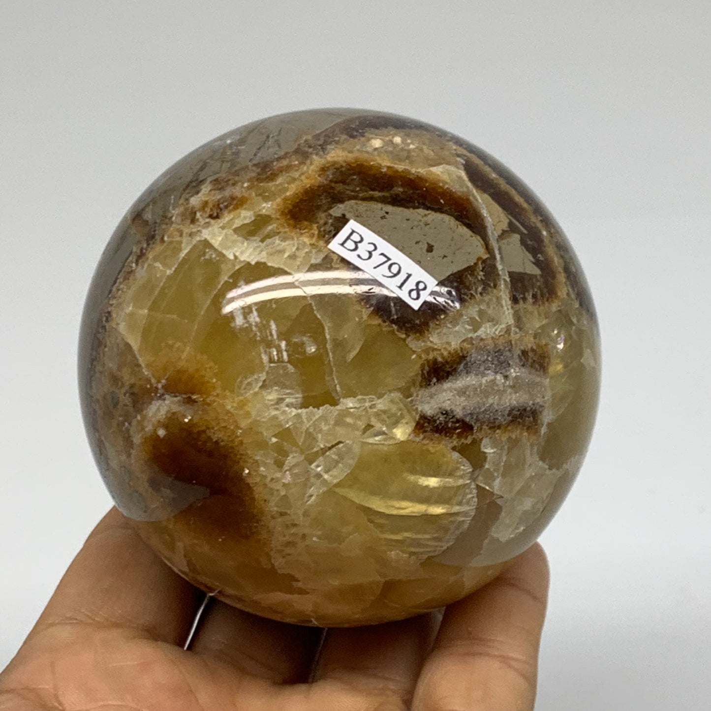 1.28 lbs, 3" (74mm), Natural Septarian Sphere Crystal Gemstone Ball, B37918