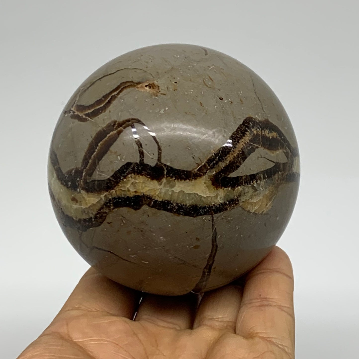 1.3 lbs, 3" (74mm), Natural Septarian Sphere Crystal Gemstone Ball, B37919