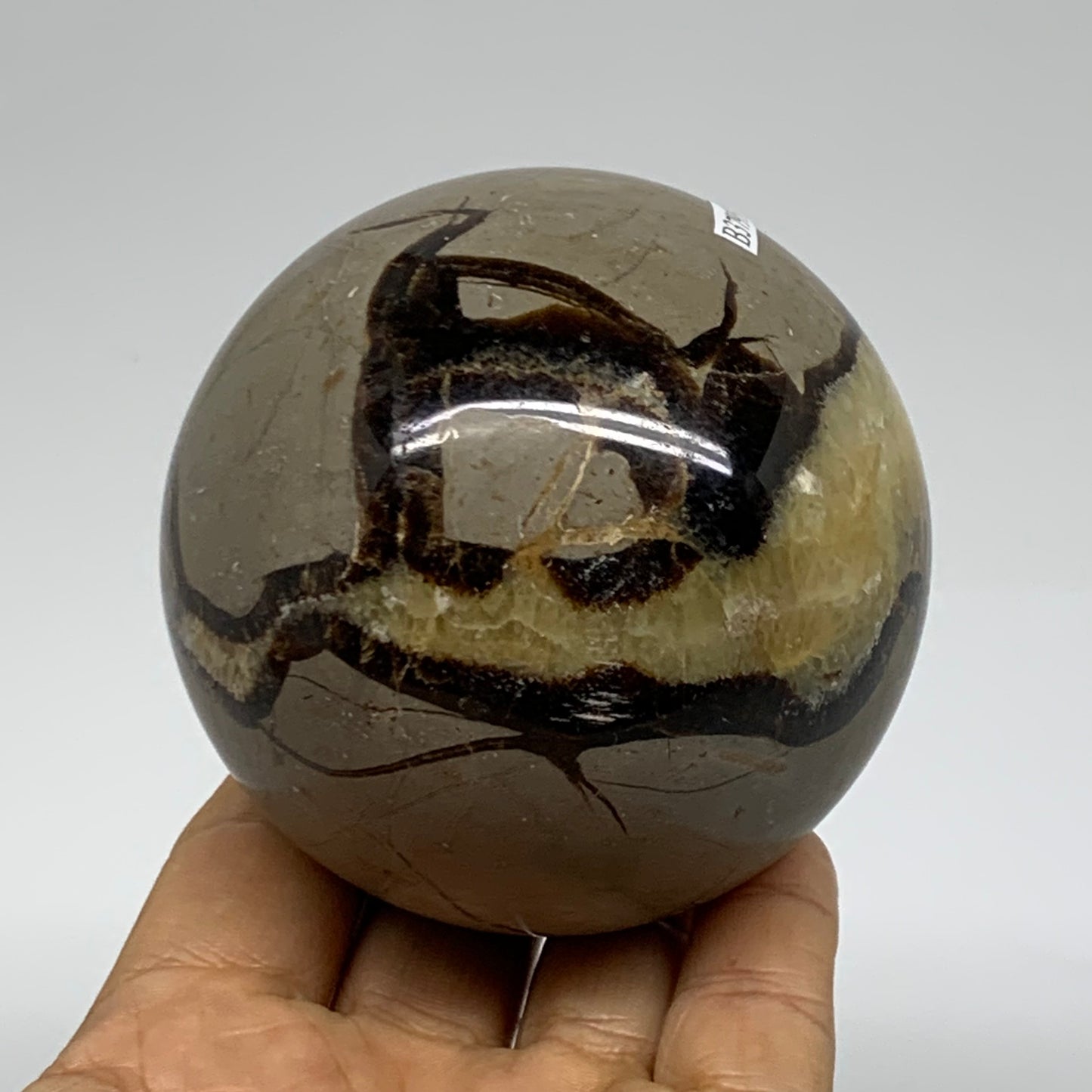1.3 lbs, 3" (74mm), Natural Septarian Sphere Crystal Gemstone Ball, B37919