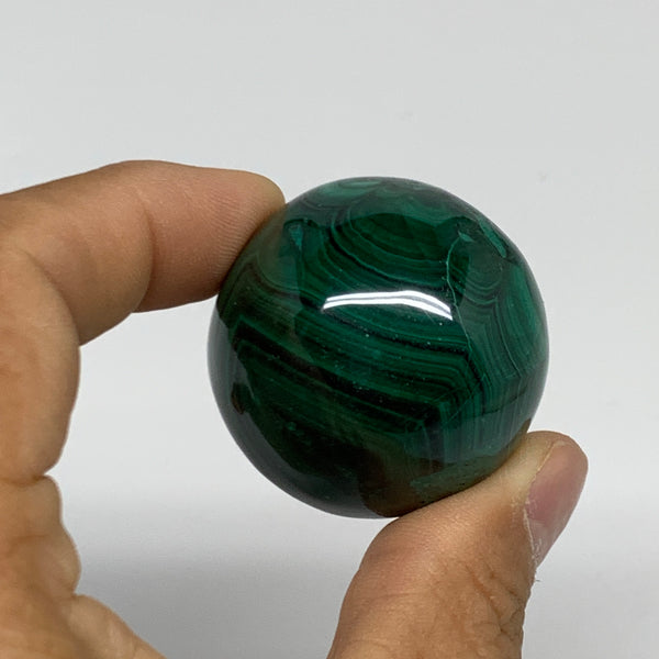 105.3g, 1.5"(37mm), Natural Solid Malachite Sphere Gemstone @Congo, B32786