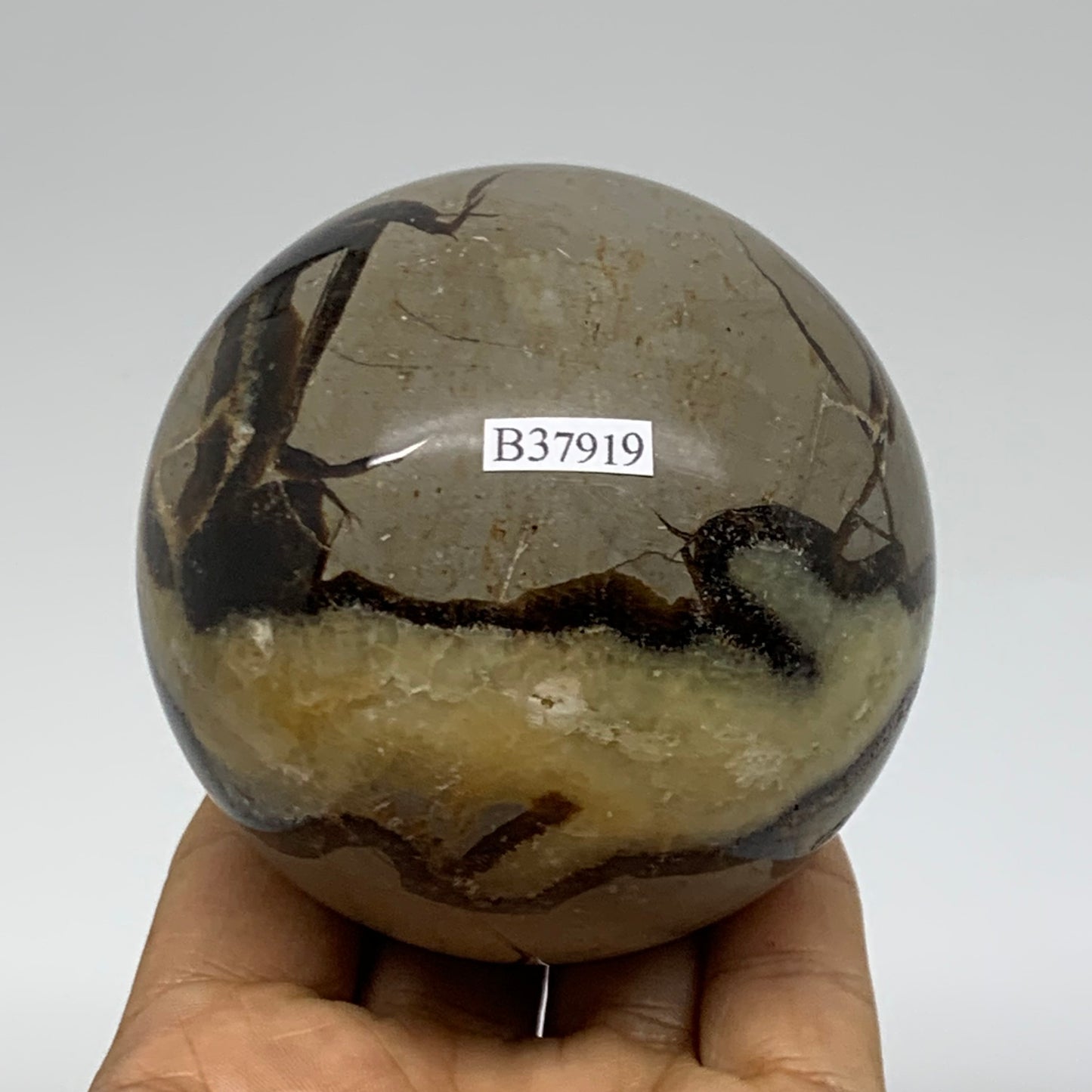 1.3 lbs, 3" (74mm), Natural Septarian Sphere Crystal Gemstone Ball, B37919