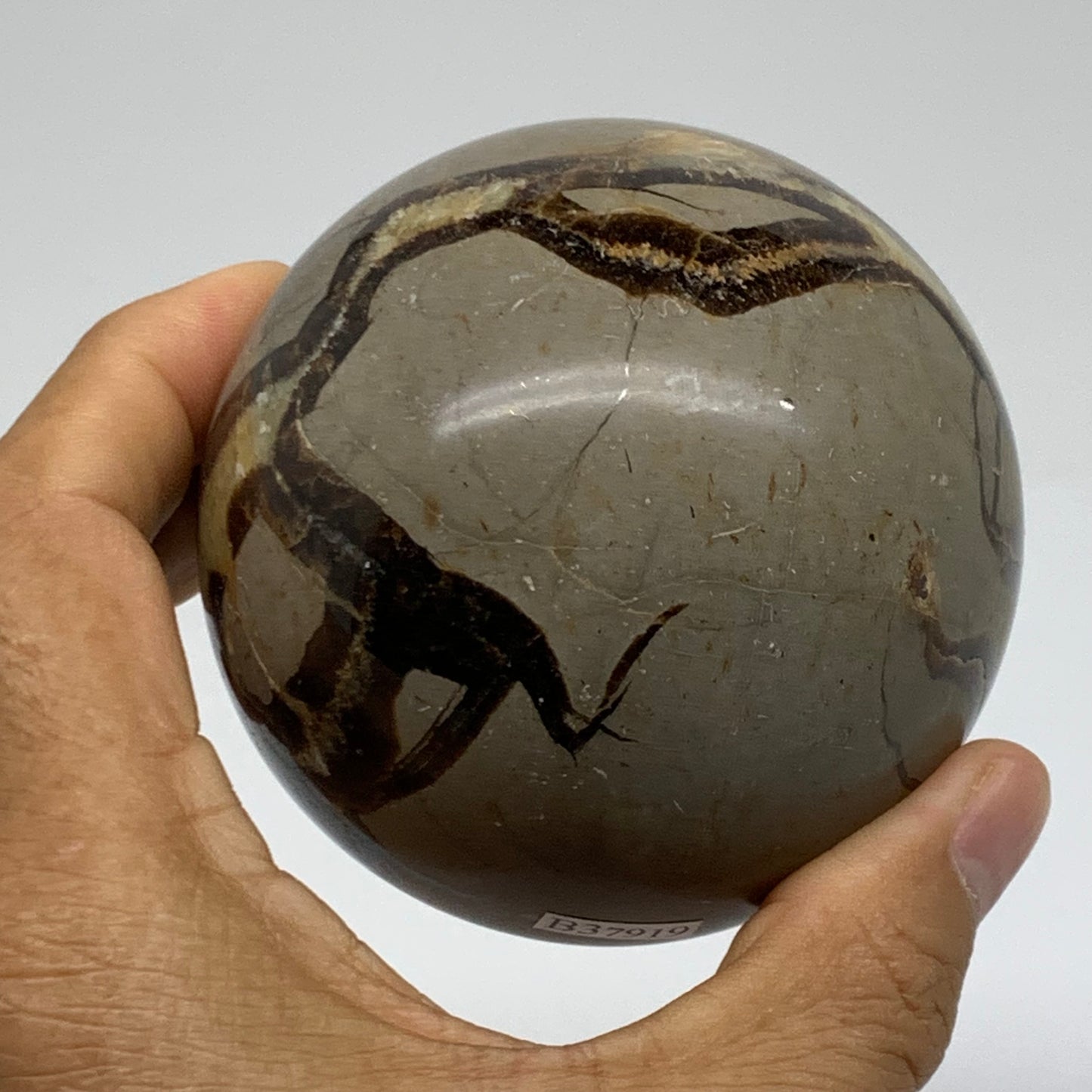 1.3 lbs, 3" (74mm), Natural Septarian Sphere Crystal Gemstone Ball, B37919