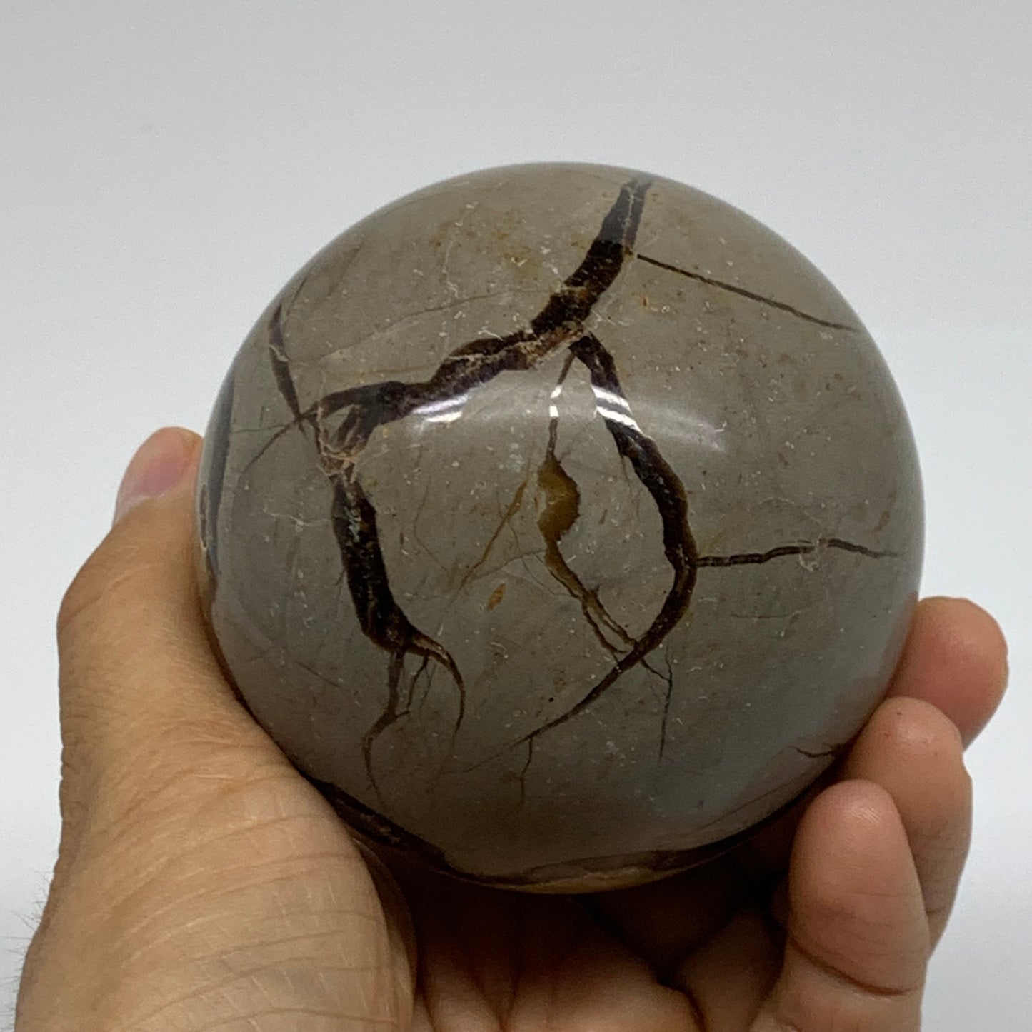 1.3 lbs, 3" (74mm), Natural Septarian Sphere Crystal Gemstone Ball, B37919