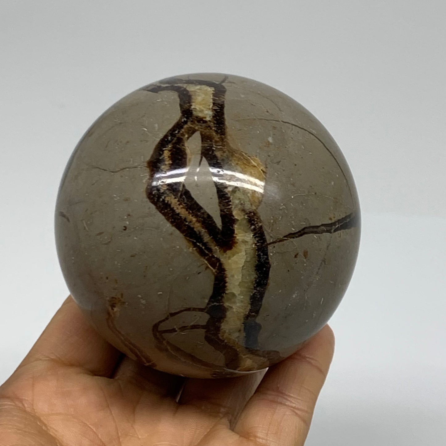 1.3 lbs, 3" (74mm), Natural Septarian Sphere Crystal Gemstone Ball, B37919
