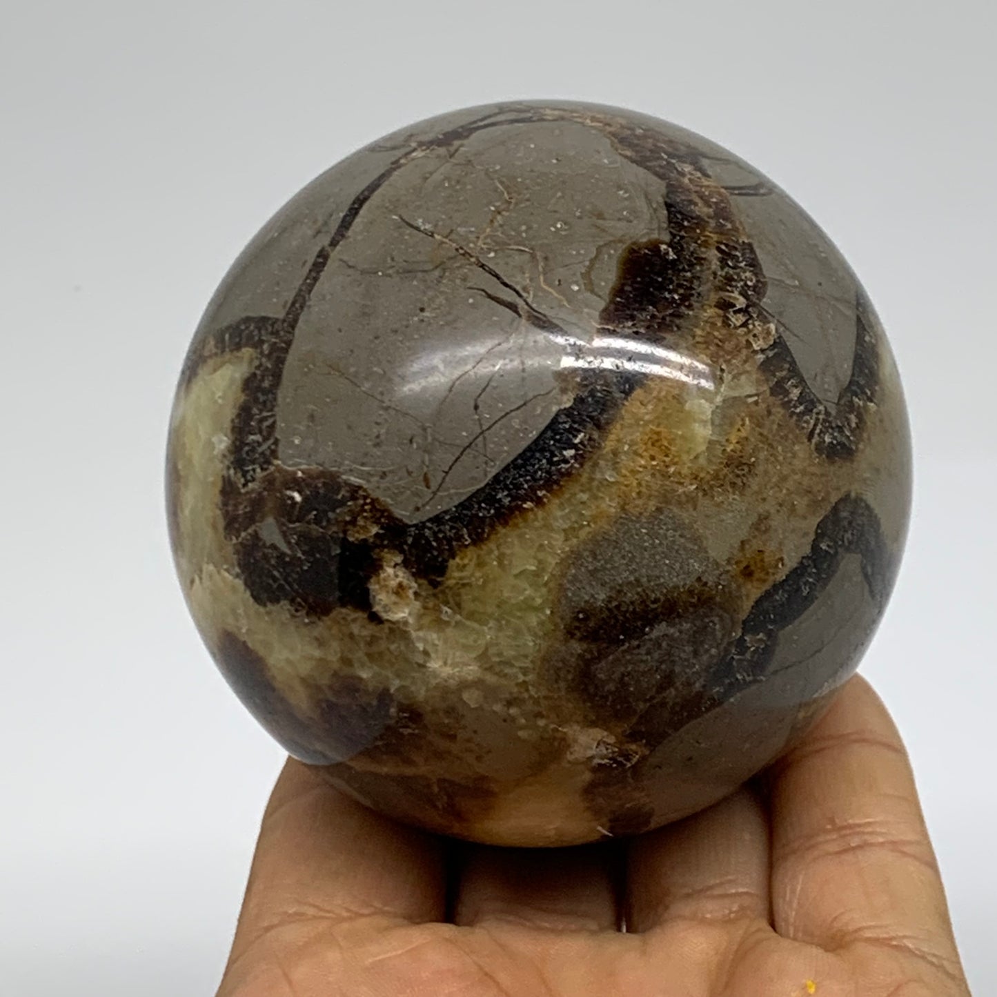 1.24 lbs, 2.9" (73mm), Natural Septarian Sphere Crystal Gemstone Ball, B37920