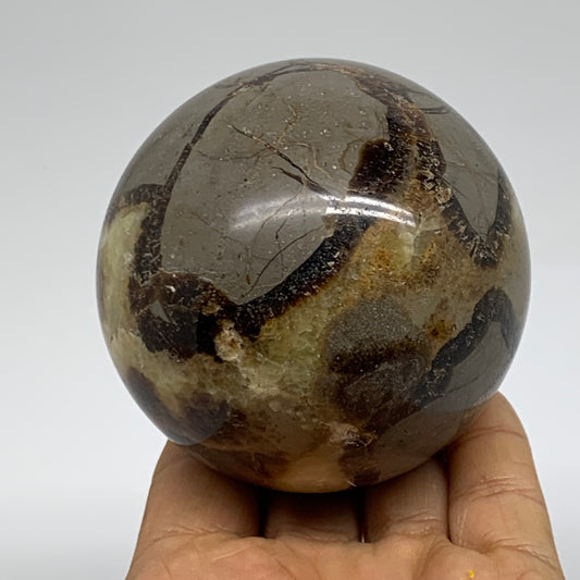 1.24 lbs, 2.9" (73mm), Natural Septarian Sphere Crystal Gemstone Ball, B37920