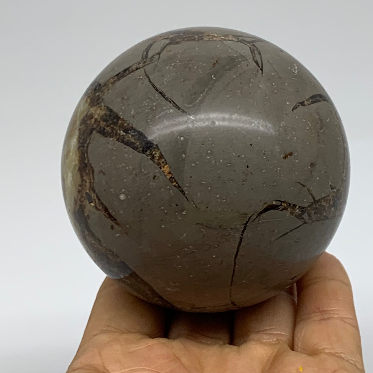 1.24 lbs, 2.9" (73mm), Natural Septarian Sphere Crystal Gemstone Ball, B37920