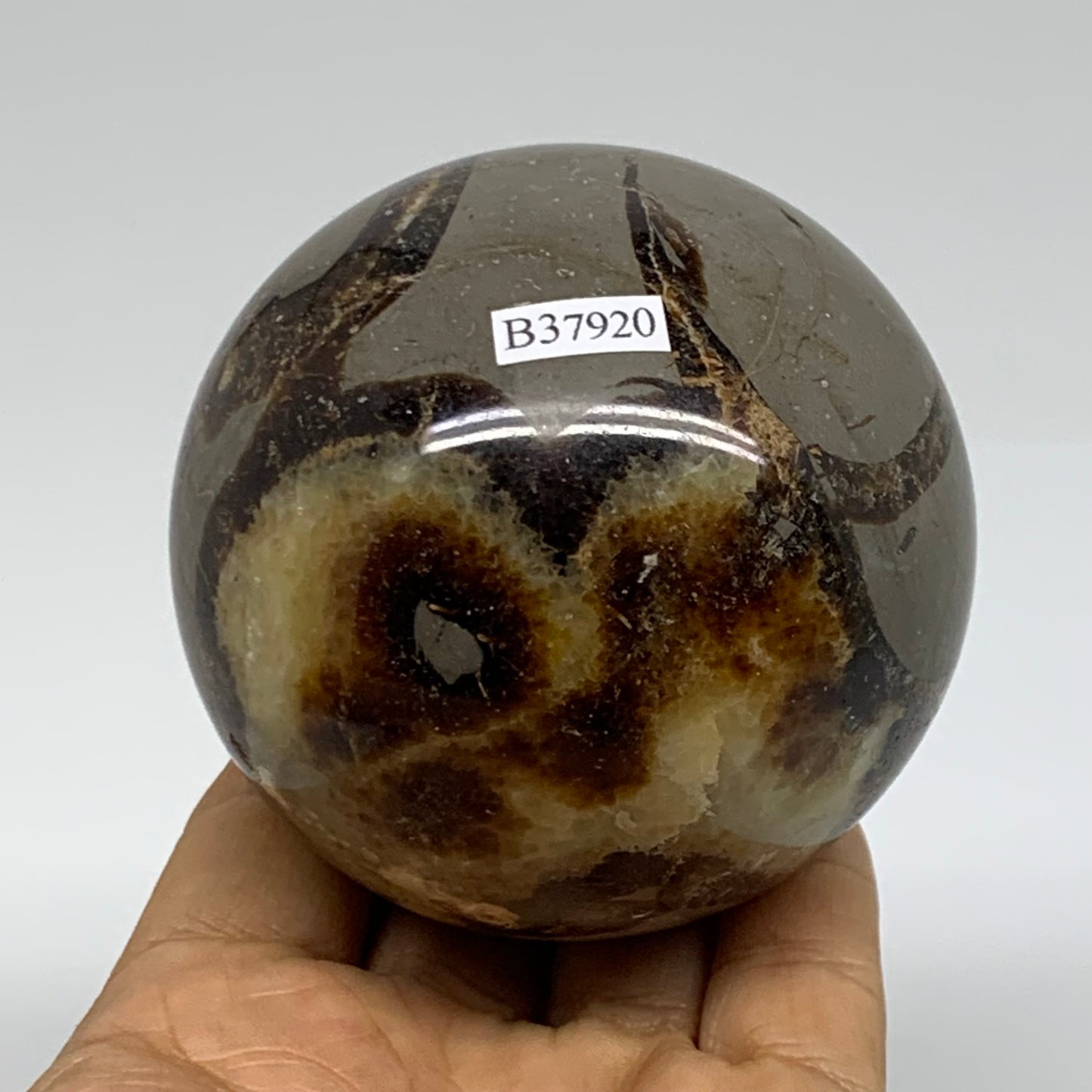 1.24 lbs, 2.9" (73mm), Natural Septarian Sphere Crystal Gemstone Ball, B37920