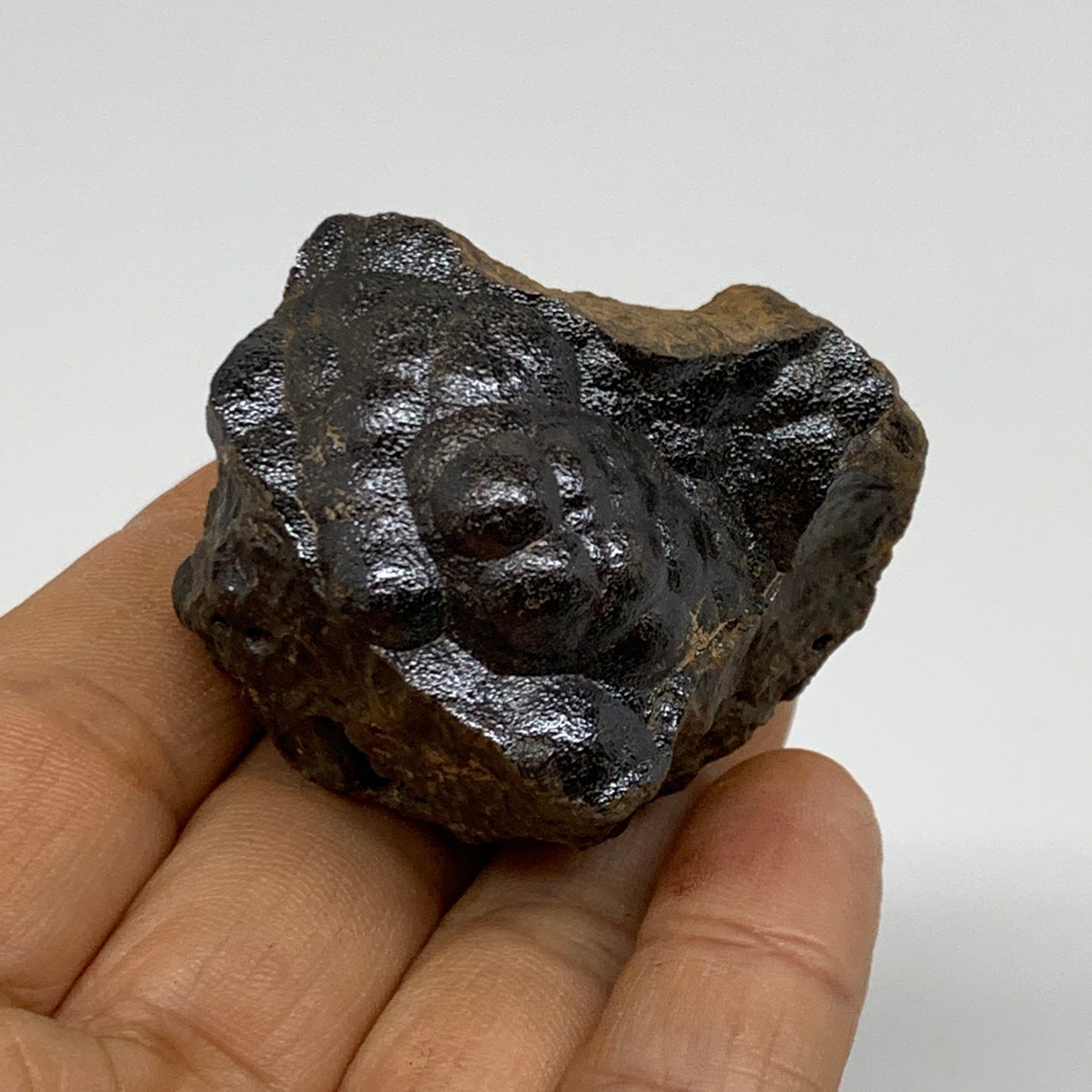 110g, 1.8"x1.7"x1.5", Rough Hematite Botryoidal Mineral Crystal, B37077