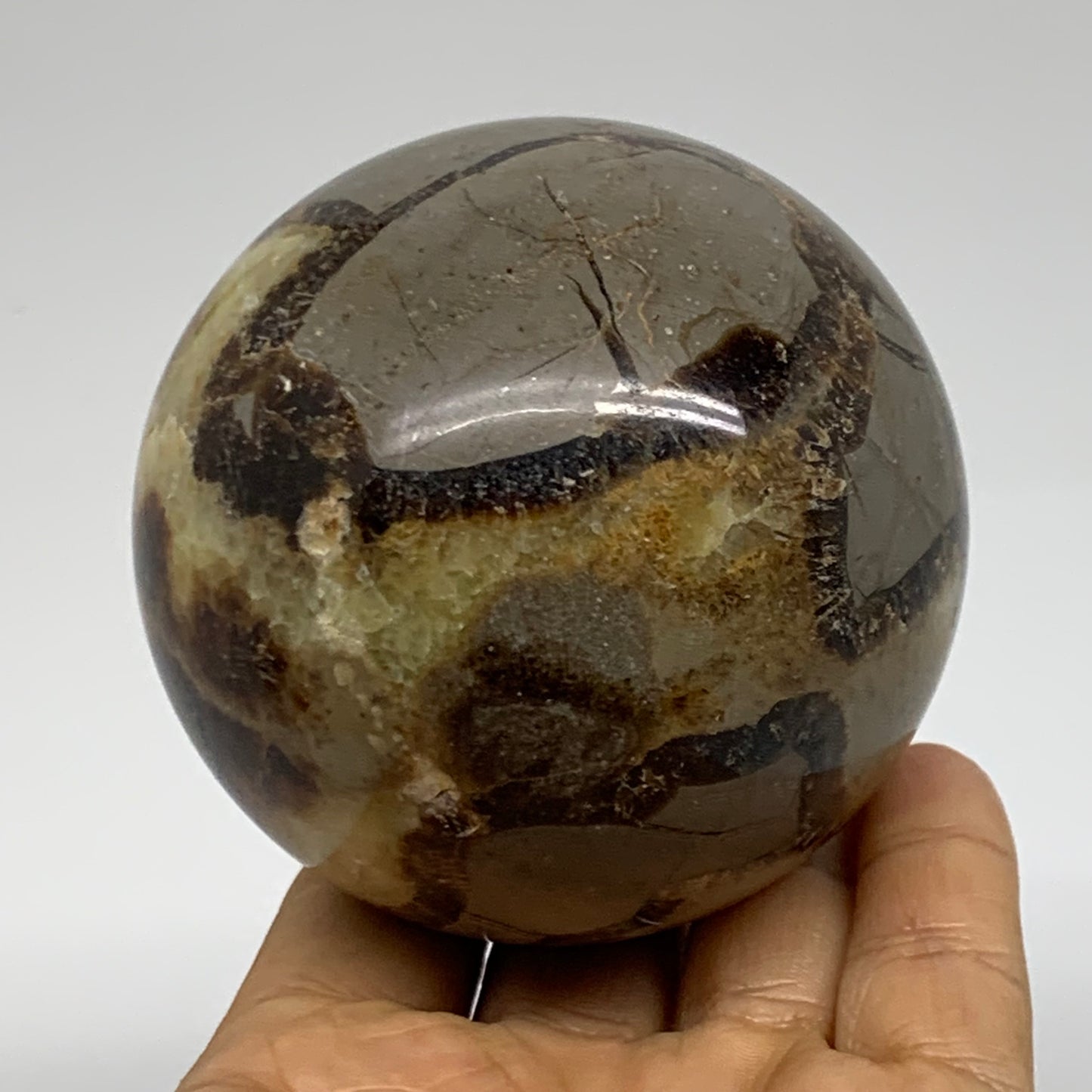 1.24 lbs, 2.9" (73mm), Natural Septarian Sphere Crystal Gemstone Ball, B37920