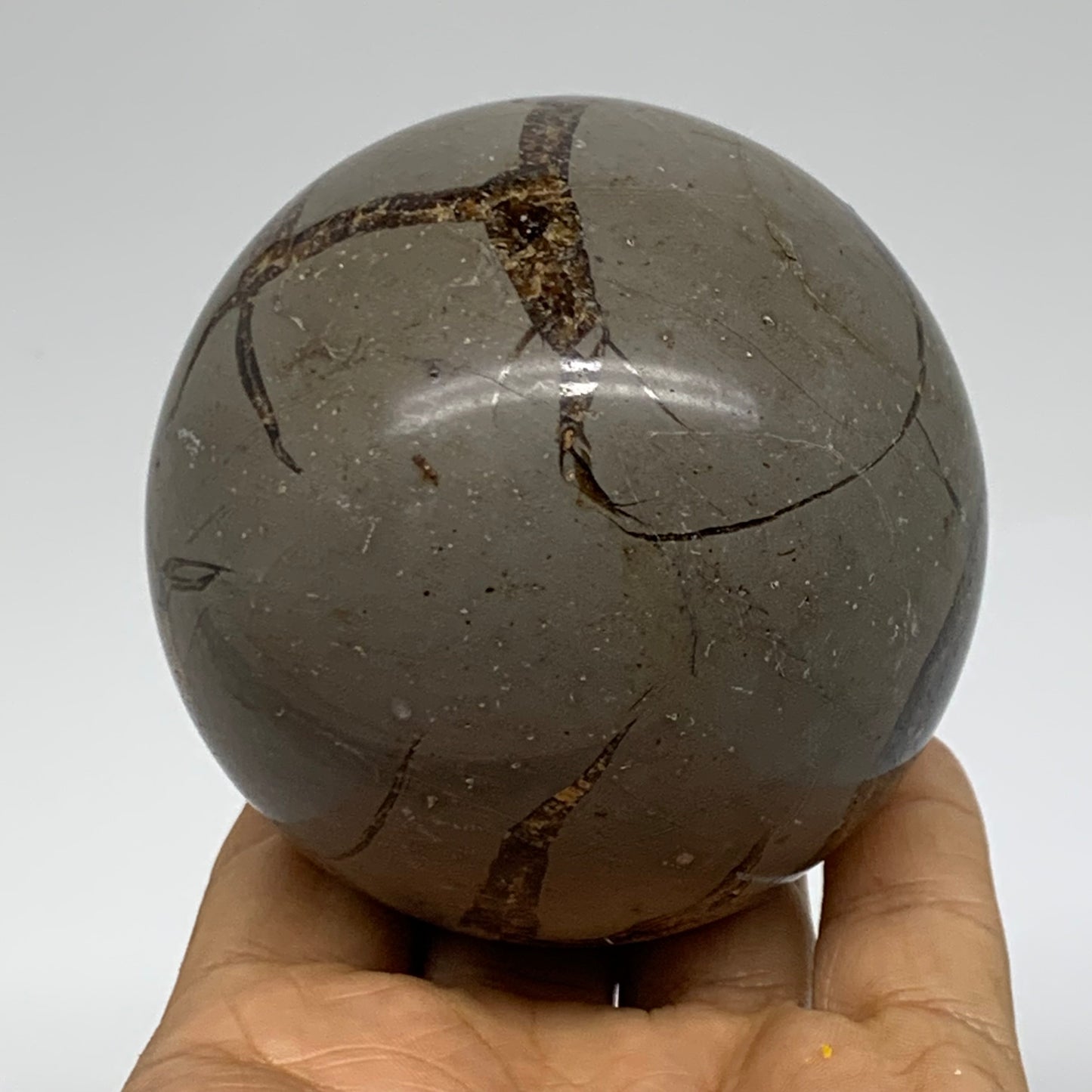 1.24 lbs, 2.9" (73mm), Natural Septarian Sphere Crystal Gemstone Ball, B37920