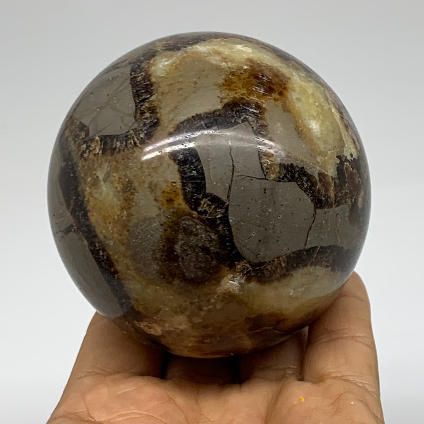 1.24 lbs, 2.9" (73mm), Natural Septarian Sphere Crystal Gemstone Ball, B37920