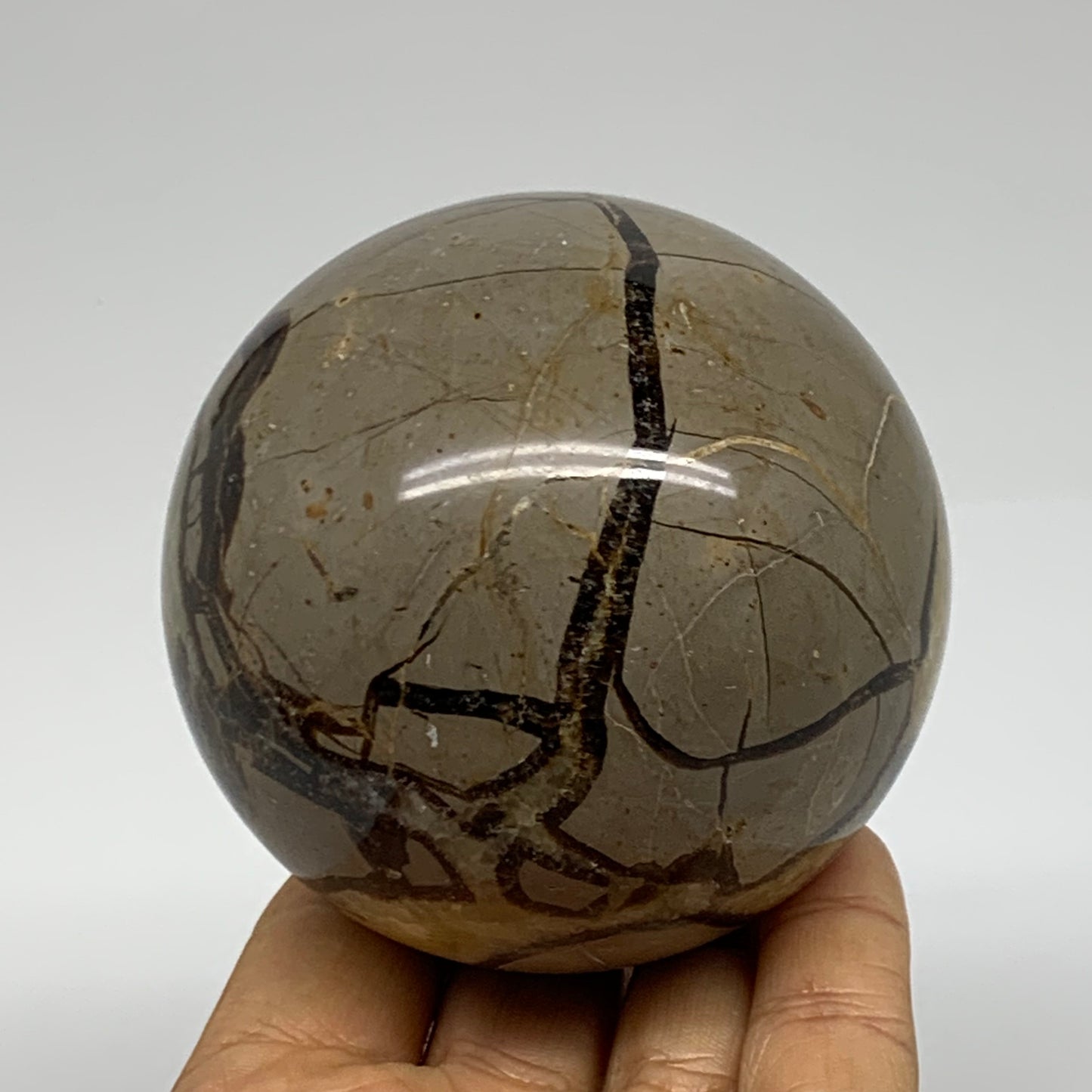 1.35 lbs, 3" (76mm), Natural Septarian Sphere Crystal Gemstone Ball, B37921