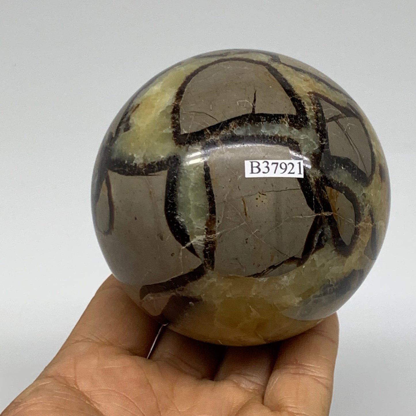 1.35 lbs, 3" (76mm), Natural Septarian Sphere Crystal Gemstone Ball, B37921