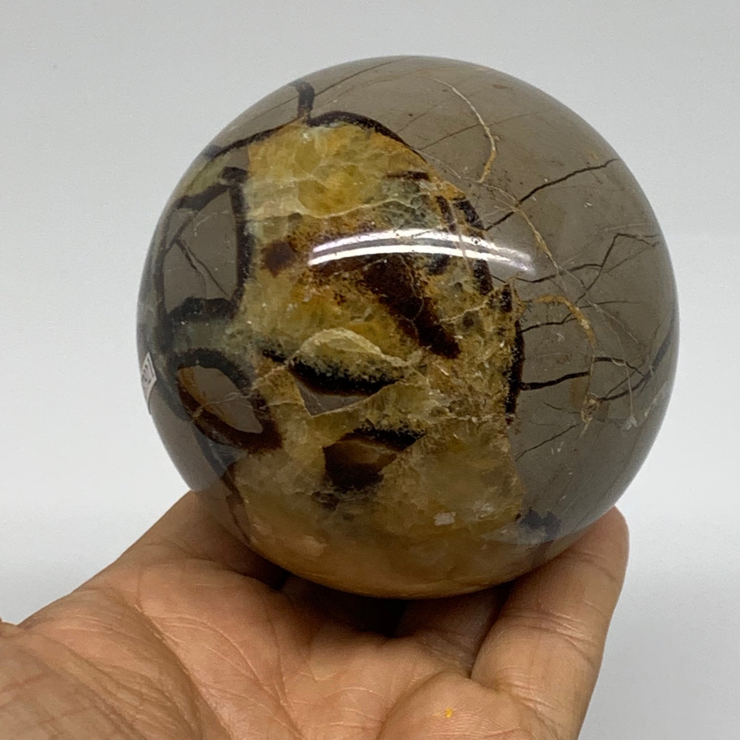 1.35 lbs, 3" (76mm), Natural Septarian Sphere Crystal Gemstone Ball, B37921