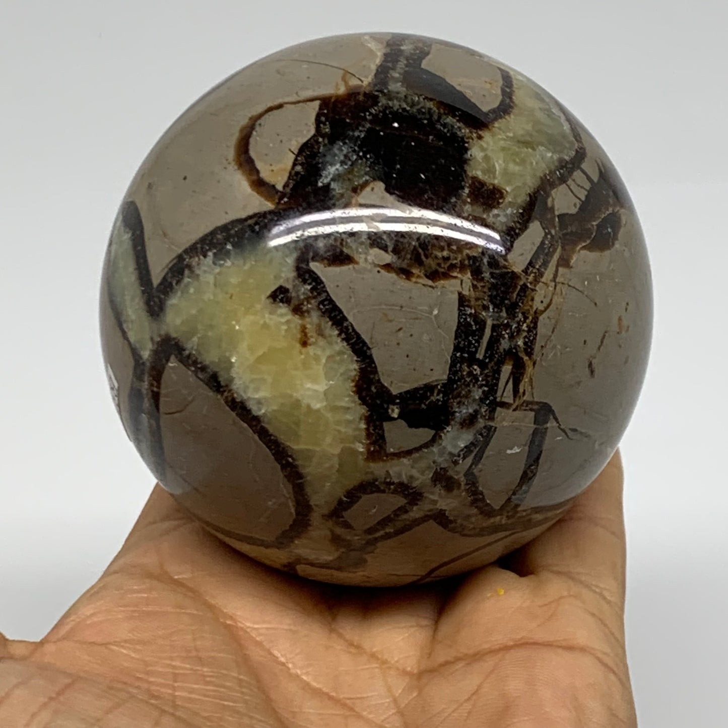 1.35 lbs, 3" (76mm), Natural Septarian Sphere Crystal Gemstone Ball, B37921