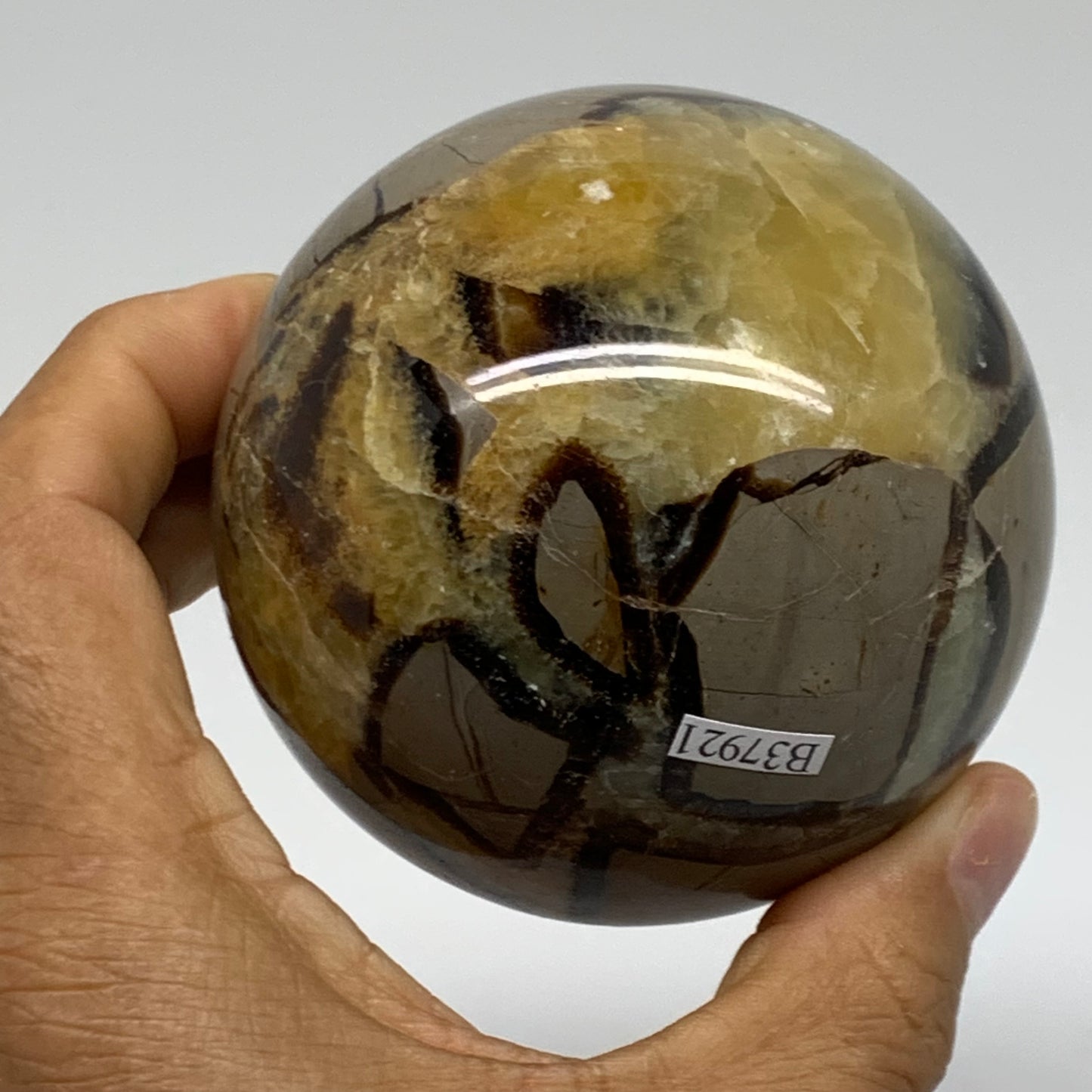 1.35 lbs, 3" (76mm), Natural Septarian Sphere Crystal Gemstone Ball, B37921