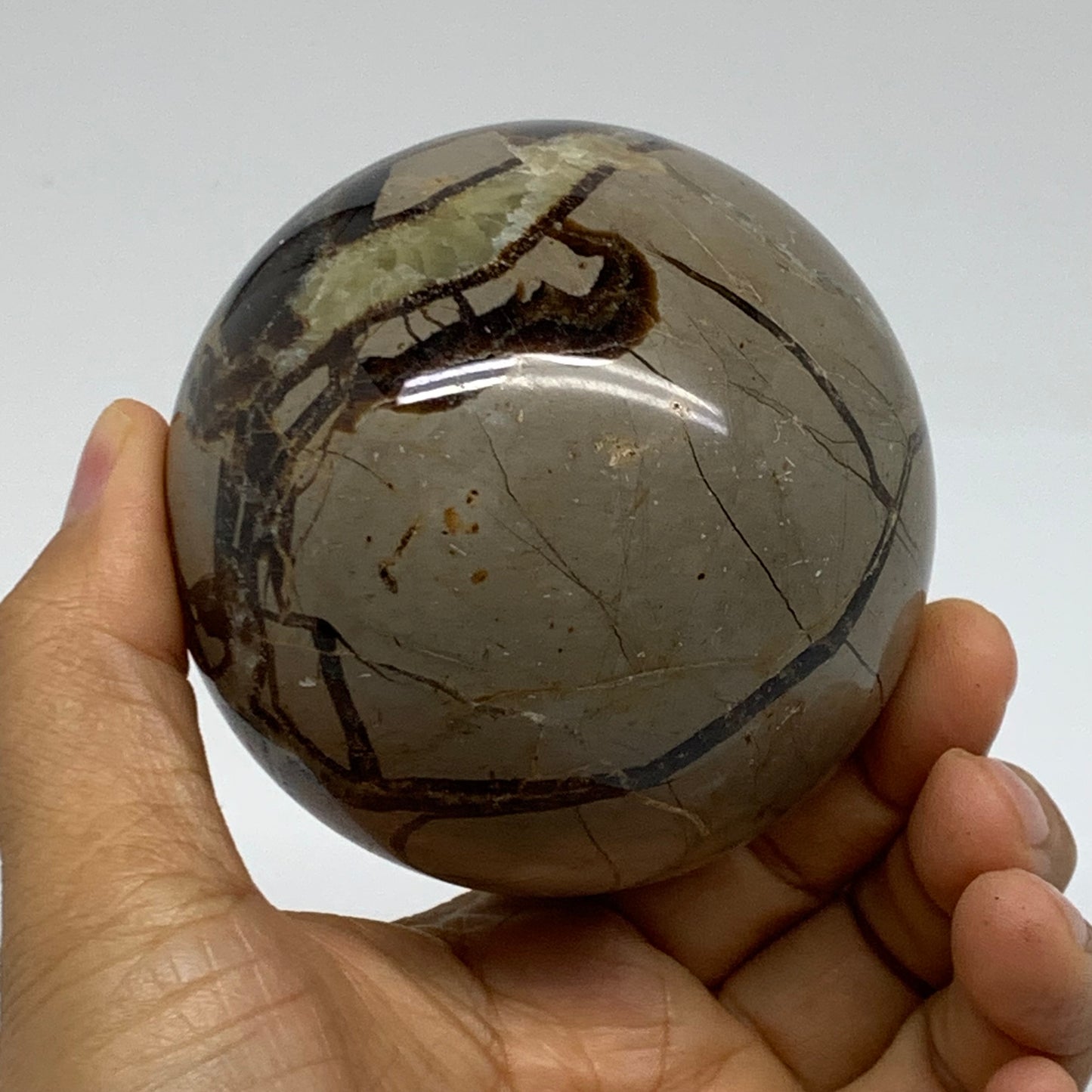 1.35 lbs, 3" (76mm), Natural Septarian Sphere Crystal Gemstone Ball, B37921