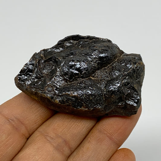 77.6g, 2.2"x1.3"x0.8", Rough Hematite Botryoidal Mineral Crystal, B37079