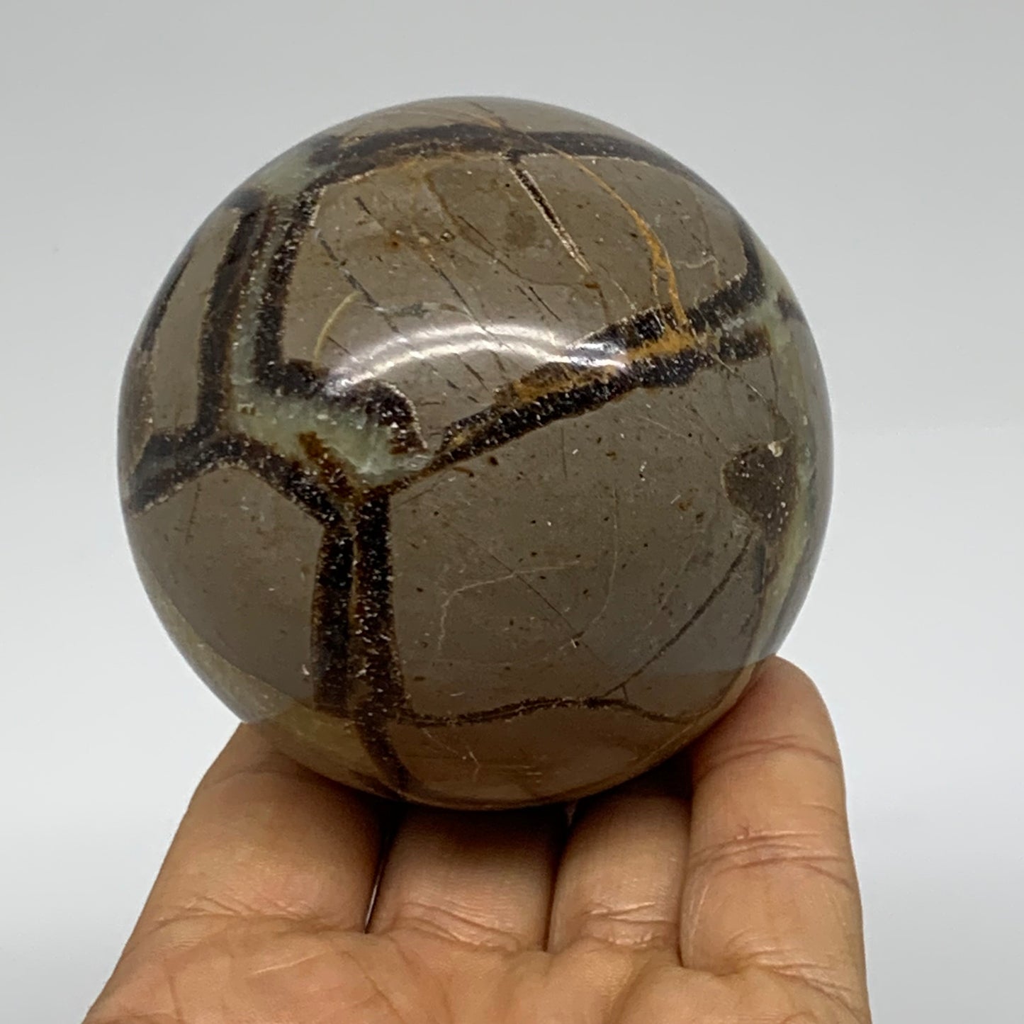 1 lbs, 2.7" (68mm), Natural Septarian Sphere Crystal Gemstone Ball, B37922